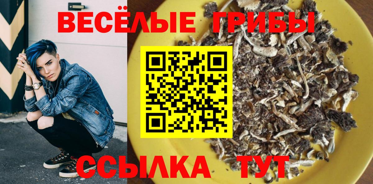 Белорецк  Галлюциногенные грибы Psilocybine cubensis  Вход с VPN 