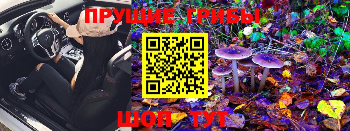Псилоцибиновые грибы MAGIC MUSHROOMS Белорецк